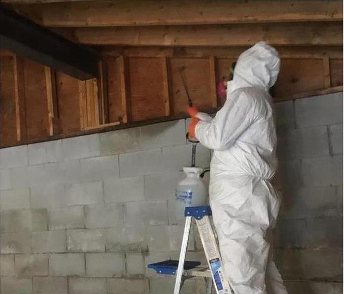 SERVPRO tech spraying for mold.