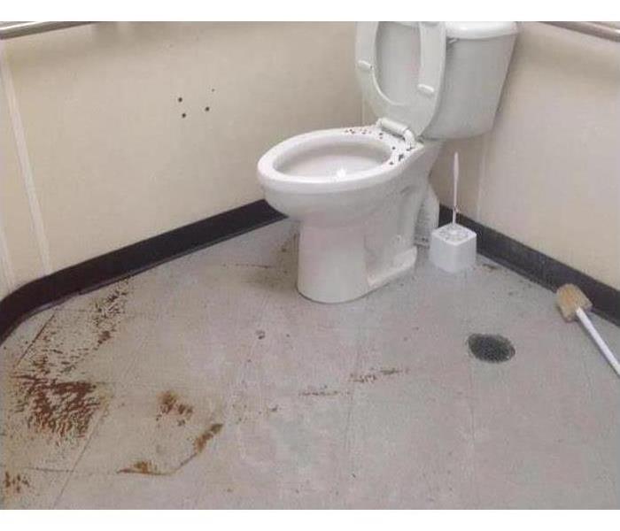 Sewage backing up onto a bathroom floor.